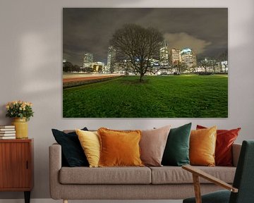 Historic tree in The Hague by Esther Seijmonsbergen