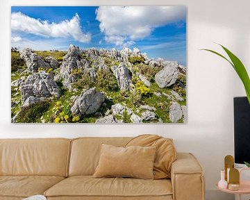 Berg met rotsen in landschap van Kefalonia Griekenland