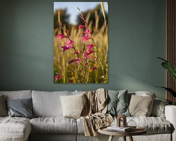 Portugiesische rosa Feldblumen von Tot Kijk Fotografie: natuur aan de muur