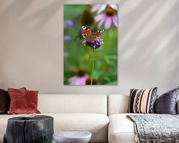 Dagpauwoog vlinder op paarse bloem van Tot Kijk Fotografie: natuur aan de muur