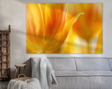 Orange tulips abstract van LHJB Photography
