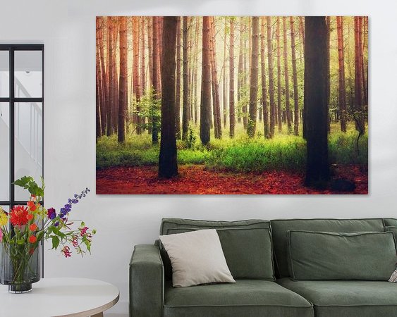 Aperçu de la chambre