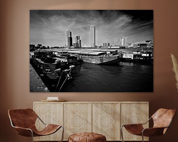 Skyline Rotterdam vanaf Katendrecht van Ronald Dijksma