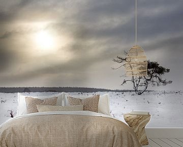 Ochtendgloren op de besneeuwde heide