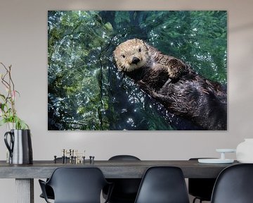 Sea Otter in Kanada von Jop Fotografie