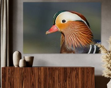 Portrait de tête de canard mandarin sur Remco Van Daalen
