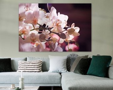 Kleine witte orchidee