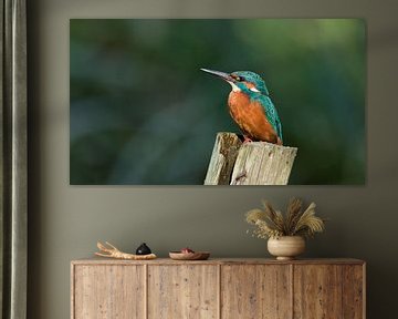 Kingfisher von Peter Korevaar