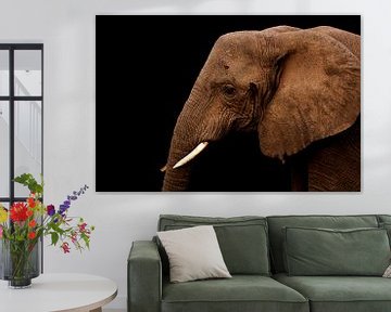 Elefant von Antwan Janssen