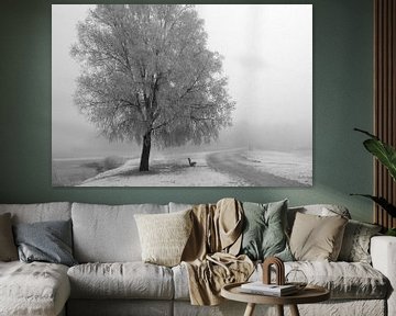 Fog  by Johan  van Polen