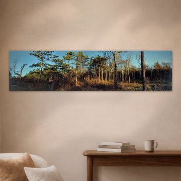 Texel Dennenbos Panorama