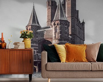 Haarlem: Amsterdamse Poort frozen. by OK-ART