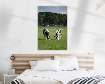 Koeien in de weide van Jehee Fotografie
