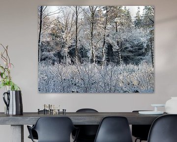 Besneeuwde bomen