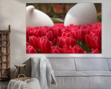 De tulpen in bloei van jorrit Verduijn