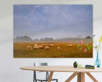 Schapen grazen in een nevelig heideveld van Paul Wendels