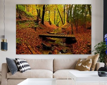 A forest in autumn atmosphere become divided by a small stream with an old bridge