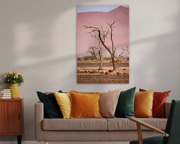 NAMIBIA ... pastel tones I von Meleah Fotografie