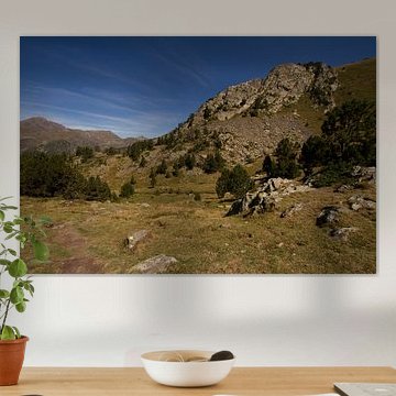 Zomer in de berglandschappen van de Pyreneeën