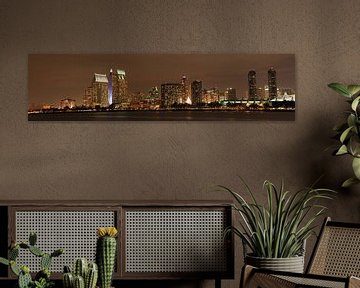San Diego skyline by Leo Roest