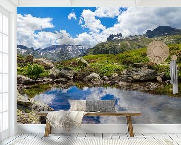 Mirror Lake by Coen Weesjes