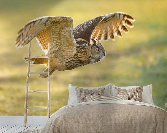 Aperçu de la chambre