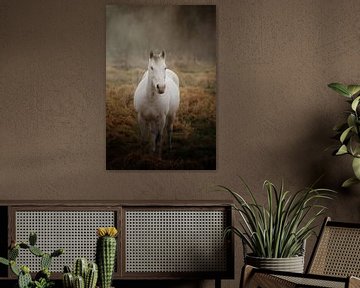 Paard in mist van Christa van Gend