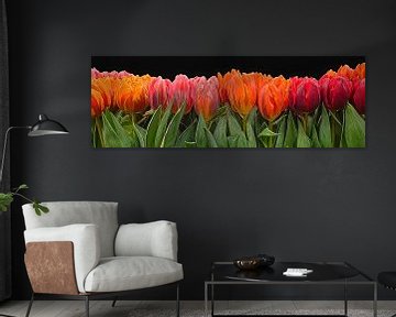 Schilderij van tulpen  digital Art van eric van der eijk