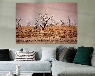 NAMIBIA ... pastel tones IV