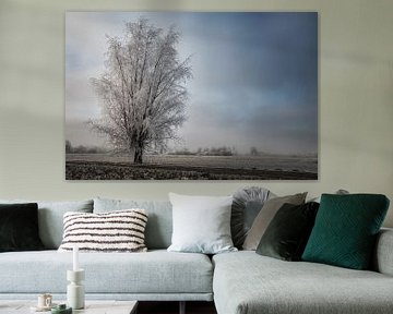 IJsboom in winters landschap by Jos Reimering