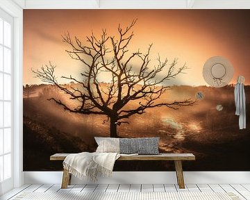 Lonely Tree at sunset by Joost Lagerweij