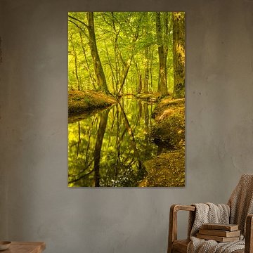 Forest Creek an einem schönen Tag im Frühherbst von Sjoerd van der Wal Fotografie