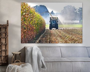 Maize harvest in a dumpster with tractor