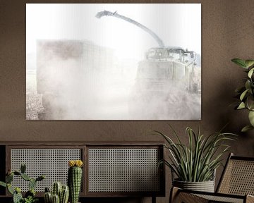 Maize harvesting in the dust