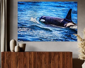 Orca in de stille oceaan von Ineke Huizing