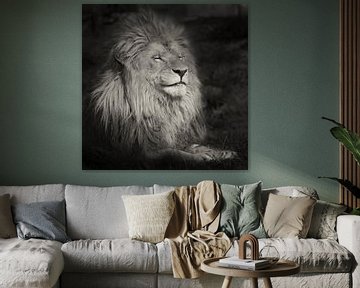Lachende leeuw van Ellen van Schravendijk