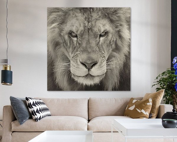 Portret van een Leeuw