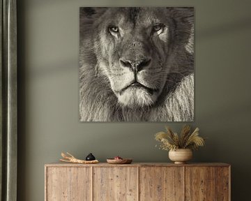 Portret van een leeuw van Ellen van Schravendijk