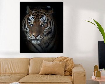 Portret van een tijger van Ellen van Schravendijk