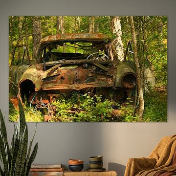 Old car  in the forest