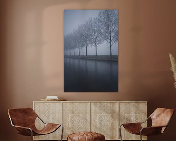 Row of trees in the fog by Remco Swiers