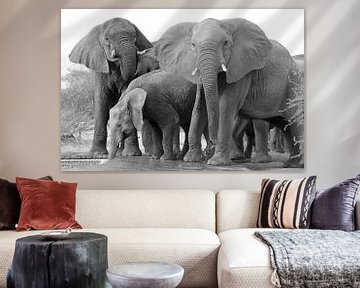 Dorstige wilde olifanten met matriarch van Ellen van Schravendijk