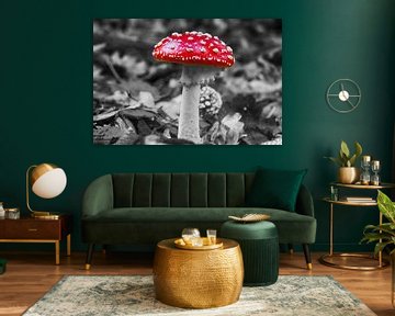 Fly agaric in the Amsterdam Forest by Peter Bartelings