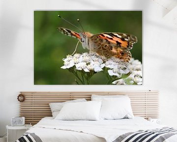 Distelvlinder (Vanessa Cardui) in Close-up van Ger Bosma