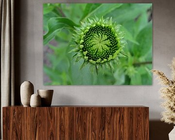 Green flower by Lotte Veldt
