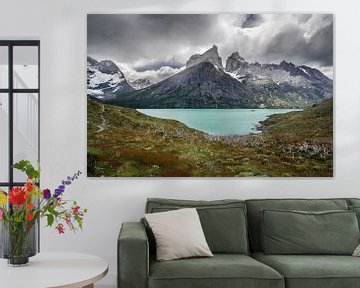 Torres del Paine by Ronne Vinkx
