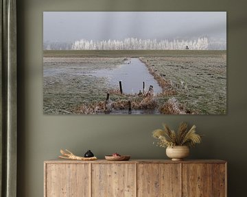 Twee vogels en een fietser sur Jan Katsman