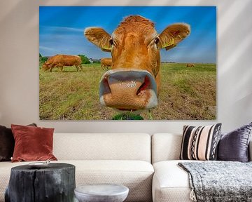 Nieuwsgierige koe van Foto Amsterdam/ Peter Bartelings