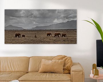 olifanten in afrika by Fulltime Travels