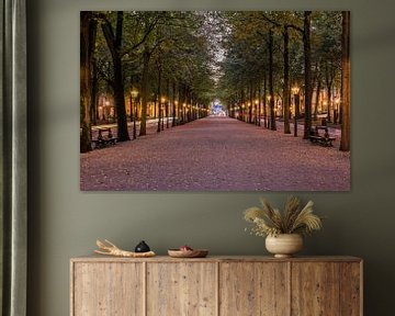 Lange Voorhout, The Hague in the blue hour.  by John Verbruggen